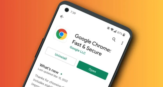 google Chrome浏览器页面加载性能优化实战