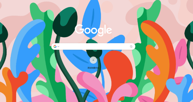 google浏览器视频播放插件优化设置