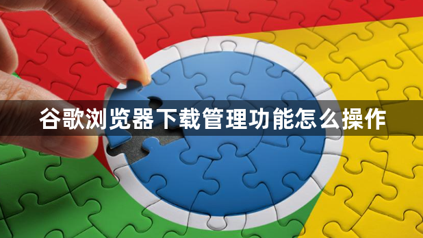 谷歌浏览器下载管理功能怎么操作1