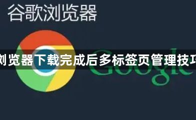 谷歌浏览器下载完成后多标签页管理技巧教程1