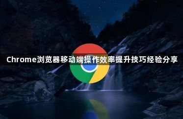 Chrome浏览器移动端操作效率提升技巧经验分享1