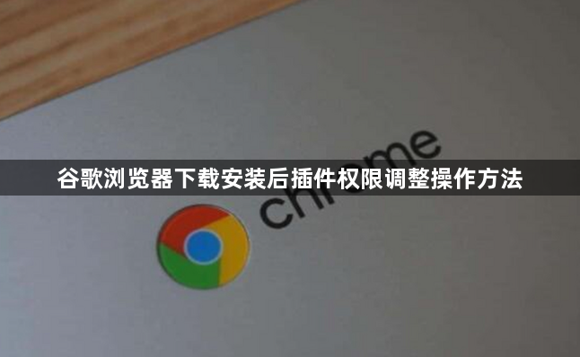 谷歌浏览器下载安装后插件权限调整操作方法1