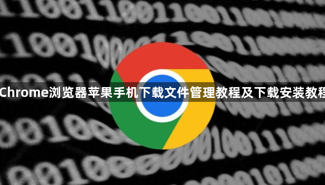 Chrome浏览器苹果手机下载文件管理教程及下载安装教程1