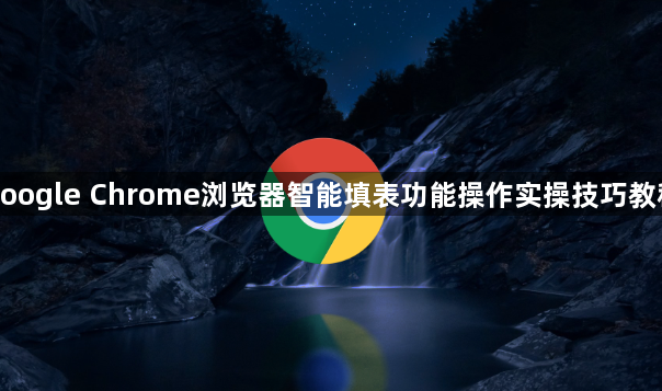 google Chrome浏览器智能填表功能操作实操技巧教程1
