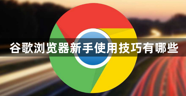 谷歌浏览器新手使用技巧有哪些1