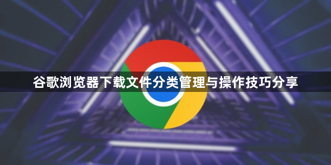 谷歌浏览器下载文件分类管理与操作技巧分享1