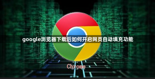 google浏览器下载后如何开启网页自动填充功能1