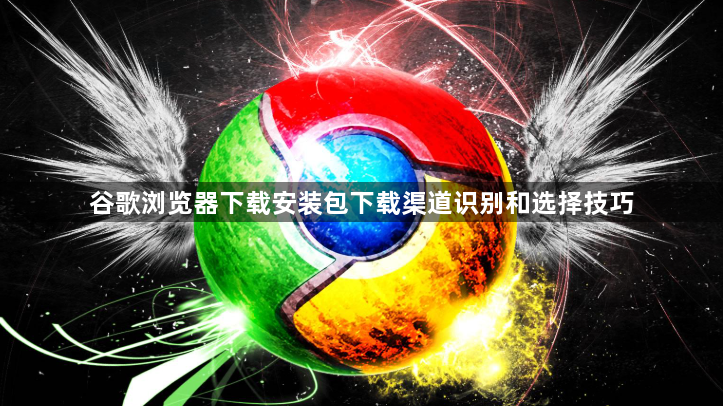 谷歌浏览器下载安装包下载渠道识别和选择技巧1