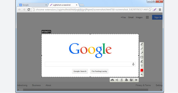 google Chrome浏览器插件权限管理隐私安全操作方案